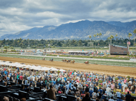 The Santa Anita Derby is one of the biggest meets of the year during Santa Anita Park's Winter/Spring Meet. It is one of 10 Grade 1s on the track's 94-stakes schedule. (Image: Kelly Serfoss)