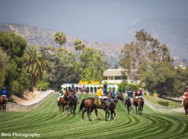 The unique Santa Anita Park hillside turf course returns for at least four stakes races during the track's Autumn Meet in October. (Image: Zoe Metz Photography)