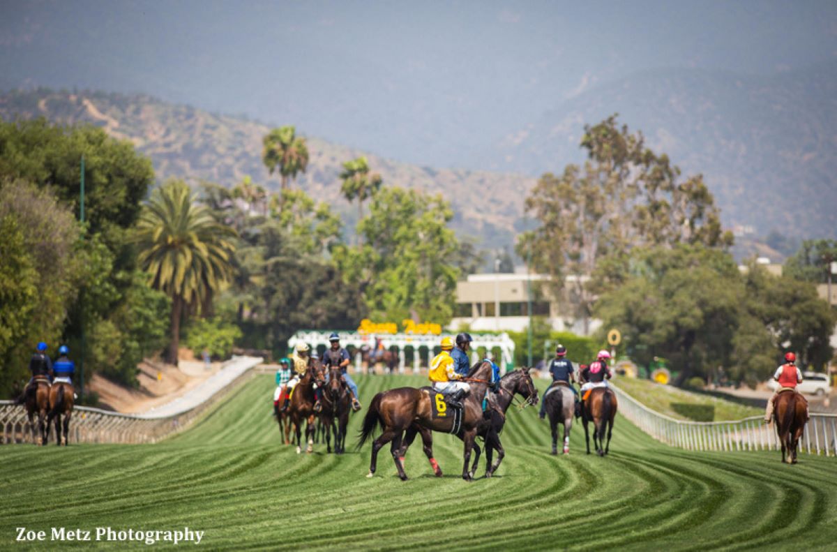 Lapangan rumput menuruni Taman Santa Anita kembali