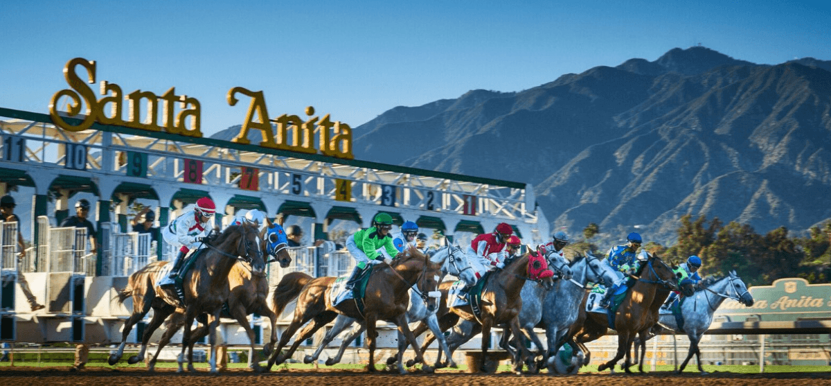 Santa Anita-wagering menu