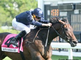 Santa Barbara and jockey Ryan Moore scored a decisive victory at last  months' Grade 1 Beverly D Stakes. The 3-year-old filly was euthanized after complications from a fractured pelvis set in. (Image: Coady Photography)