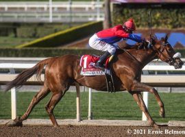 Swiss Skydiver won the Grade 1 Beholder Mile by nearly three lengths in March for her own 2021 victory in four races. She will go up for sale at the prestigious Fasig-Tipton November Sale Night of Stars. (Image: Ernie Belmonte)