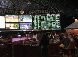 Underdog victories should be good for sportsbooks. (Image; Amy Calistri)