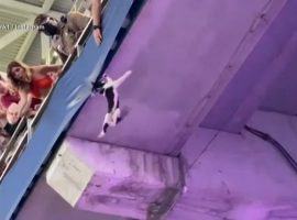A cat falls from the upper deck at Hard Rock Stadium during a Miami and Appalachian State game in Miami, Florida. (Image: @vicfrank1/Instagram)