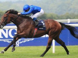 Adayar won the Group 1 King George VI and Queen Elizabeth II stakes going away. He figures to be a key figure in Saturday's British Champion Stakes at Ascot. (Image: Great British Racing)