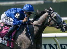 Althiqa, seen here winning the Grade 1 Just A Game at Belmont Park in June, will be a popular choice for bettors in the Grade 1 First Lady Stakes at Keeneland. (Image: Godolphin)