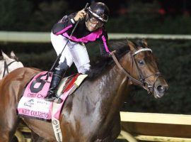 Art Collector and jockey Luis Saez's gutsy victory in the Charles Town Classic sets them up for Saturday's Grade 1 Woodward Stakes. Art Collector is the 3/1 third-favorite to win his first Grade 1. (Image: Coady Photography)