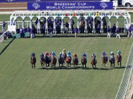 This year's Breeders' Cup wagering menu offers an all-turf Pick 4, mandating you pick the winners of four of the top Breeders' Cup grass races. (Image: K.C. Allred/San Diego Union-Tribune)