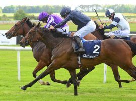 In May, Empress Josephine won the 1,000 Guineas at 14/1. She comes back a week after running another Grade 1 as the 3/1 favorite in the Queen Elizabeth II Challenge Cup. (Image: RacingFotos.com)