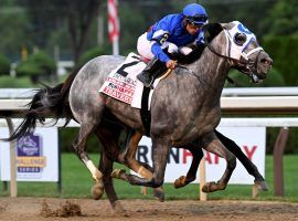 Essential Quality's August win in the Travers gave him his fourth Grade 1 victory. He and Maxfield will begin their stallion careers together after their final races. (Image: Adam Coglianese-NYRA/AP)