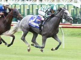 Flippant goes from this Listed Virginia Oaks victory to Saturday's Grade 1 Queen Elizabeth II Challenge Cup at Keeneland. (Image: Coady Photography)