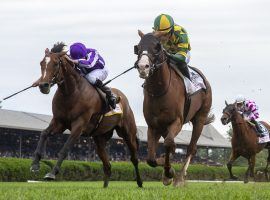 Gufo (right) held off a surging Japan to win August's Grade 1 Sword Dancer at Saratoga. The two turf rivals tangle again in Saturday's Grade 1 Joe Hirsch Turf Classic at Belmont Park. (Image: Sarah Andrew)