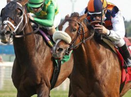 Imperador (right) used this victory over Arklow to win the Grade 2 Calumet Turf Cup at Kentucky Downs. That earned the Argentinian colt a berth in the Breeders' Cup Turf he will pass up. (Image: Coady Photography)