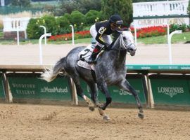 Knicks Go used this Lukas Classic victory as a tune-up for the Breeders' Cup Classic, where his speed figures top his competitors on two scales. (Image: Coady Photography)