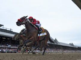 Letruska captured August's Grade 1 Personal Ensign by a half-length overe Bonny South. The two, along with fourth-place Dunbar Road, tangle again in Sunday's Grade 1 Spinster at Keeneland. (Image: NYRA/Coglianese Photos)