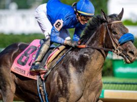 Maxfield's last victory came here, in June's Stephen Foster at Churchill Downs. He will bypass the Breeders' Cup Classic in favor of a return to Churchill Downs for the easier Grade 1 Clark Stakes. (Image: Jamie Newell/TwinSpires)