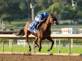 Bob Baffert's star 3-year-old filly Private Mission heads to the Breeders' Cup Distaff after Sunday's convincing victory in the Grade 2 Zenyatta Stakes at Santa Anita Park. (Image: Benoit Photo)