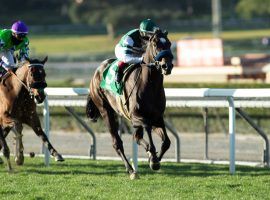 The last time Rock Your World ran on grass, he won the Listed Pasadena Stakes in February. The sophomore colt returns to turf for the first time in five starts in Sunday's Grade 2 Twilight Stakes at Santa Anita. (Image: Benoit Photography/Santa Anita)