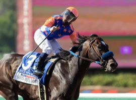 Jockey Umberto Rispoli and Rock Your World headline the final race in Santa Anita Park's Autumn Meet -- the Grade 2 Twilight Derby. Picking the correct winner here could bring someone a $5 million payout on mandatory payout day of Santa Anita's Rainbow Jackpot Pick Six. (Image: Benoit Photo)