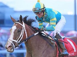 Army Wife and Joel Rosario romped in the Grade 3 Iowa Oaks at Prairie Meadows this summer. She looms as a threat against older fillies and mares in Thanksgiving Day's Churchill Downs feature: the Grade 2 Falls City. (Image: Coady Photography)