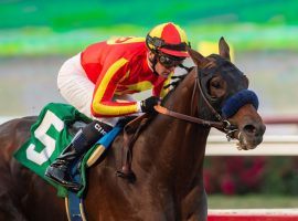 Azul Coast and Flavien Prat won their first graded-stakes race Saturday, capturing the Grade 3 Native Diver Stakes at Del Mar. (Image: Benoit Photo)