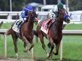 Gamine, seen here winning the Grade 1 Ballerina Stakes at Saratoga, is the biggest favorite of the 14 Breeders' Cup favorites. She opens at 3/5 to defend her title in the Filly & Mare Sprint. (Image: Coglianese Photos/Dom Napolitano)