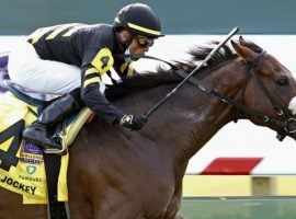 Gear Jockey and Jose Lezcano needed a scratch for this Turf Sprint berth at Kentucky Downs. They parlayed that into a win and a spot in Saturday's Breeders' Cup Turf Sprint at Del Mar. (Image: Coady Photography)