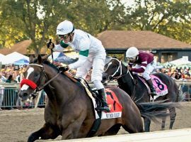 Hot Rod Charlie earned his first Grade 1 win with this solid September score in the Pennsylvania Derby. He is the 4/1 third-favorite to win Saturday's Breeders' Cup Classic. (Image: Parx Racing)