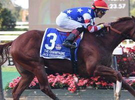 Breeders' Cup Juvenile favorite and Champagne Stakes winner Jack Christopher was a late Thursday scratch from Friday's $2 million race.( Image: Janet Garaguso/NYRA)