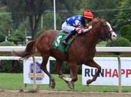 Despite being on the shelf due to surgery for a stress fracture, Jack Christopher found himself the individual favorite in the first Kentucky Derby Future Wager pool for 2022. (Image: Coglianese Photos)