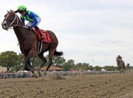 Jackie's Warrior and Joel Rosario used this Grade 2 Gallant Bob romp as a Breeders' Cup Sprint tune-up. After finishing a disappointing sixth, Jackie's Warrior suffered a bone chip that puts him on teh shelf until 2022. (Image: Chad B. Harmon)