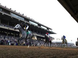 A familiar sight: Pursuers vainly chasing Knicks Go. The 5-year-old beat sophomores Medina Spirit, Essential Quality and Hot Rod Charlie to win the $6 million Breeders' Cup Classic Saturday at Del Mar. (Image: AP Photo)