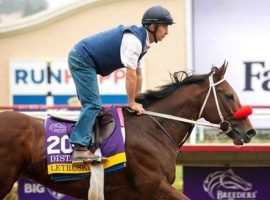 Star mare Letruska, seen here training before she finished a distant 10th in the Breeders' Cup Distaff, will take a much-needed break beore returning as a 6-year-old. She won four Grade 1s among her six 2021 victories. (Image: Ella DeGea)