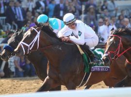 Jockey Irad Ortiz Jr. aboard Life Is Good (5) did not have to pay attention to his rivals in the Breeders' Cup Dirt Mile. His 5 3/4-length victory was the largest victory margin of the 14 Breeders' Cup races. (Image: Horsephotos)