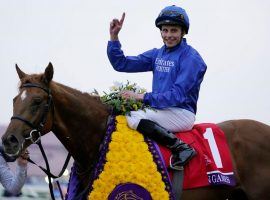 Jockey William Buick celebrates his victory aboard Modern Games in the Breeders' Cup Juvenile Turf. It wasn't a popular win with bettors after the 9/5 favorite was taken out of the wagering pool when he was initially scratched. (Image: Jae C. Hong)