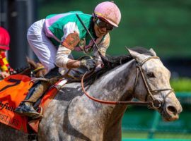 Obligatory and Jose Ortiz captured the Grade 2 Eight Belles Stakes on the Kentucky Oaks undercard in April. The unpredictable 3-year-old is the 5/2 morning-line favorite to win the Grade 3 Chilukki Stakes at Churchill Downs. (Image: Jamie Newell/TwinSpires)