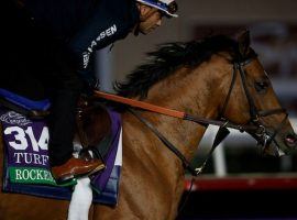 Rockemperor finished a non-threatening eighth by 6 1/2 lengths in the Breeders' Cup Turf earlier this month. He's the 8/5 morning-line favorite to win Friday's Grade 2 Hollywood Tur Cup at Del Mar. (Image: Breeders' Cup)