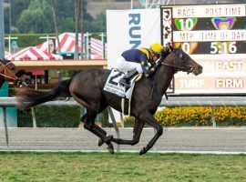 Santa Anita Park's Turf Starter Series will give fillies and mares the chance to follow in Twilight Stakes winner Subconscious' grassy hoofprints. (Image: Benoit Photo)