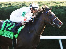 Tiz the Bomb, seen here winning the Castle and Key Bourbon Stakes, is the 3/1 favorite in a deep Kentucky Jockey Club field. (Image: Keeneland)