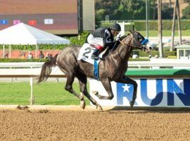Winning Map breezed to victory by 4 1/2 lengths in his October debut. He is the 7/5 favorite against two Bob Baffert stablemates and another rival in Sunday's Grade 3 Bob Hope Stakes at Del Mar. (Image: Benoit Photo)