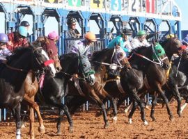 It's not a track that comes to mind for most horseplayers. But New Mexico's Zia Park takes center stage Tuesday for a 10-race, seven-stakes card that attracted some of the sport's stars. (Image: Zia Park Racetrack)