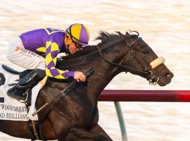 Beyond Brilliant's victory in the Grade 2 Hollywood Derby was one of the highlights of Del Mar's 2021 Bing Crosby Meet. (Image: Benoit Photo)