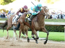 C Z Rocket's last victory was this score in the Count Fleet. The multiple graded-stakes winner returns to Oaklawn Park for a Saturday allowance. (Image: Coady Photography)