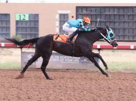 Canoodling has dominated ungraded stakes, such as this victory in the Zia Park Distaff last month. Now, she ventures into the deep waters of the Grade 1 La Brea Stakes at Santa Anita Sunday. (Image: Coady Photography)