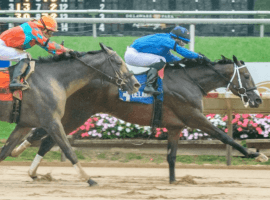 Cooke Creek, seen here winning the Rocky Run Stakes at Delaware Park, is the 5/2 favorite in Saturday's Jerome Stakes at Aqueduct. (Image: Hoofprintsinc.com Photo)