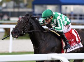 Junior Alvarado and Doswell glide to victory in Saturday's Grade 2 Fort Lauderdale Stakes. This turf test is often a good preview for the Grade 1 Pegasus World Cup Turf next month at Gulfstream Park. (Image: Ryan Thompson/Coglianese Photos)