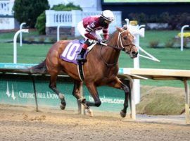 Epicenter captured thi Churchill Downs maiden special weight last month. He is the 5/2 favorite to win the inaugural Gun Runner Stakes at Fair Grounds, Sunday. (Image: Coady Photography)