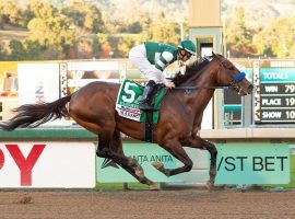 Flightline was in his own zip code when he finished Sunday's Grade 1 Malibu Stakes at Santa Anita. Flightline's 11 1/2-length victory came with a 118 Beyer Speed Figure, the highest Beyer by a North American horse this year. (Image: Benoit Photo)