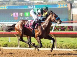 Flightline won this Del Mar allowance by 12 3/4 lengths in early September. The flashy 3-year-old makes his stakes debut in Sunday's Grade 1 Malibu Stakes at Santa Anita. (Image: Benoit Photo)