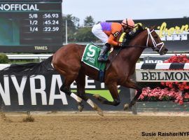 Following Sea's dominant victory in the Grade 2 Vosburgh sets him up as a Cigar Mile contender. The Grade 1 race is Saturday at Aqueduct. (Image: Susie Raisher/NYRA)